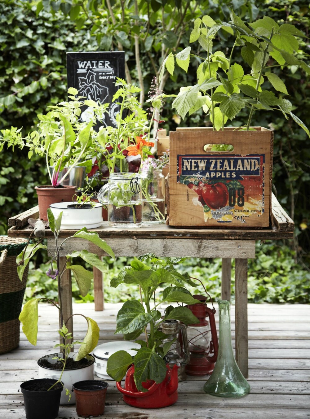 PLANTEBORD: Gi gjerne plantene et eget bord der du kan dyrke din interesse. Det finnes mange fine og rimelige plantebord å få kjøpt, blant annet på Biltema.