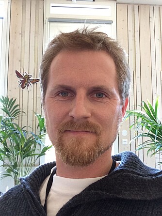 EKSPERT: Arnstein Staverløkk, overingeniør i entomologi ved Norsk institutt for naturforskning,