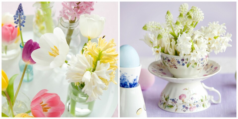 SMÅVASER: Samle avskårne blomster som tulipaner, påskeliljer, gåsunger, perleblomster og kirsebærkvister i små glass eller vaser. Eller hva med å finne frem noen søte, gamle tekopper som du pynter med vårlige blomster?