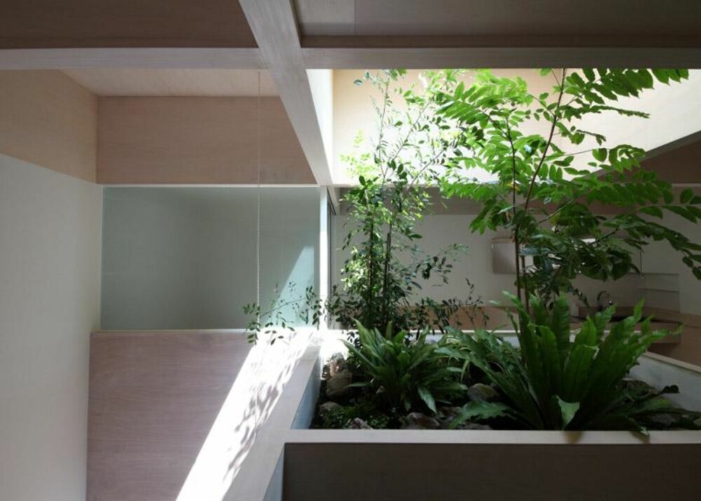 GRØNNE SONER: Midt inne i huset kan man dyrke store planter. FOTO: Katsutoshi Sasaki + Associates