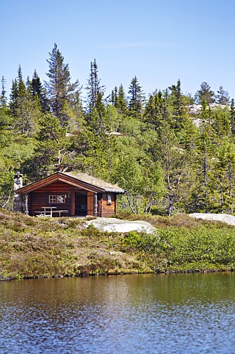 FJORÅRETS DRØMMEHYTTE: Gunhild Momraks hytte i i Telemark vant konkurransen Norges drømmehytte i 2013. Meld på din hytte før 11. april!