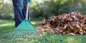 HØSTKLAR HAGE: Det er flere grep du kan gjøre i hagen for å forberede den på høsten og vinteren.