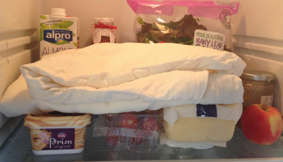 KJØL NED: Legger du lakenet i kjøleskapet på en varm kveld?