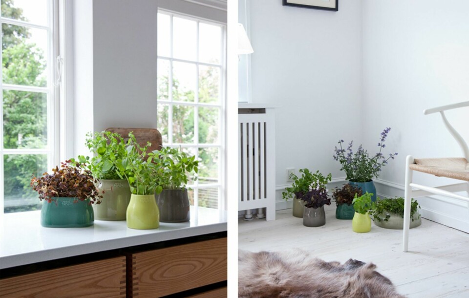 BOTANICA: Kähler er en av produsentene som har kastet seg over den botaniske trenden med produktserien Botanica. Serien består av vakre vaser i ulke former og tidsriktige, støvete farger.