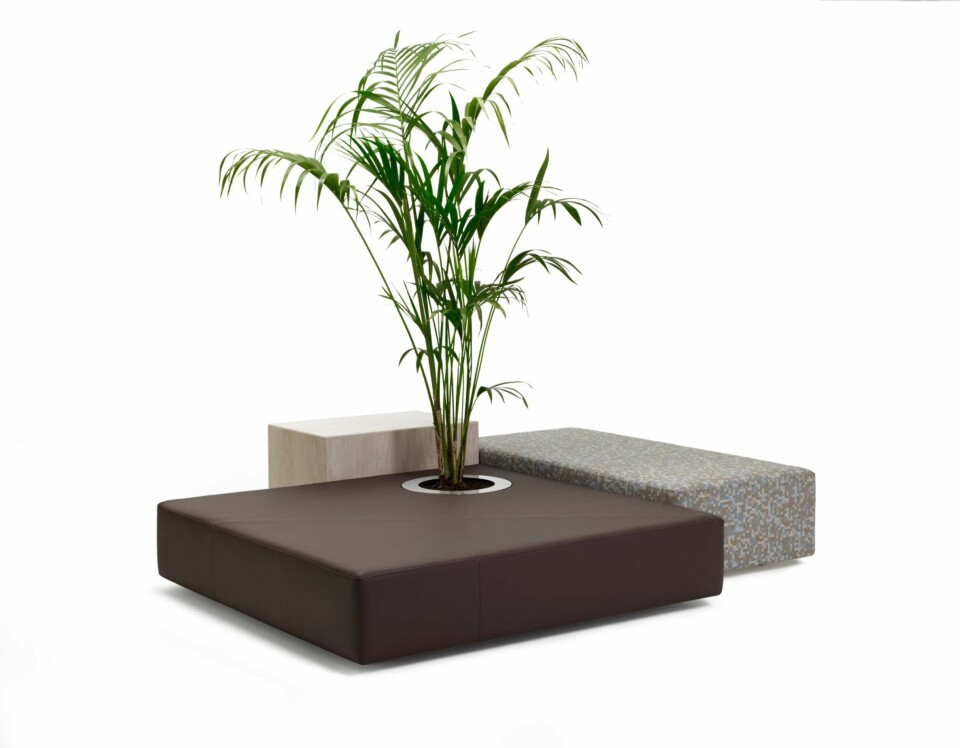 LITEN ØY: Den svenske møbelprodusenten Offecct har en tidsriktig kolleksjon som heter Oasis. Under kolleksjonen Oasis er det flere serier, blant annet den som heter Green islands. Serien består av lave sittemøbler med integrerte planter. Produsenten ønsker å gi en følelse av å sitte under et tre.