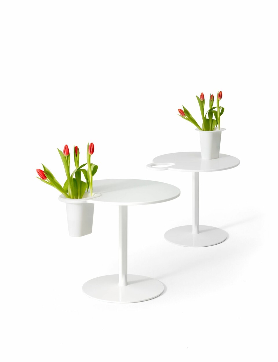 blomster