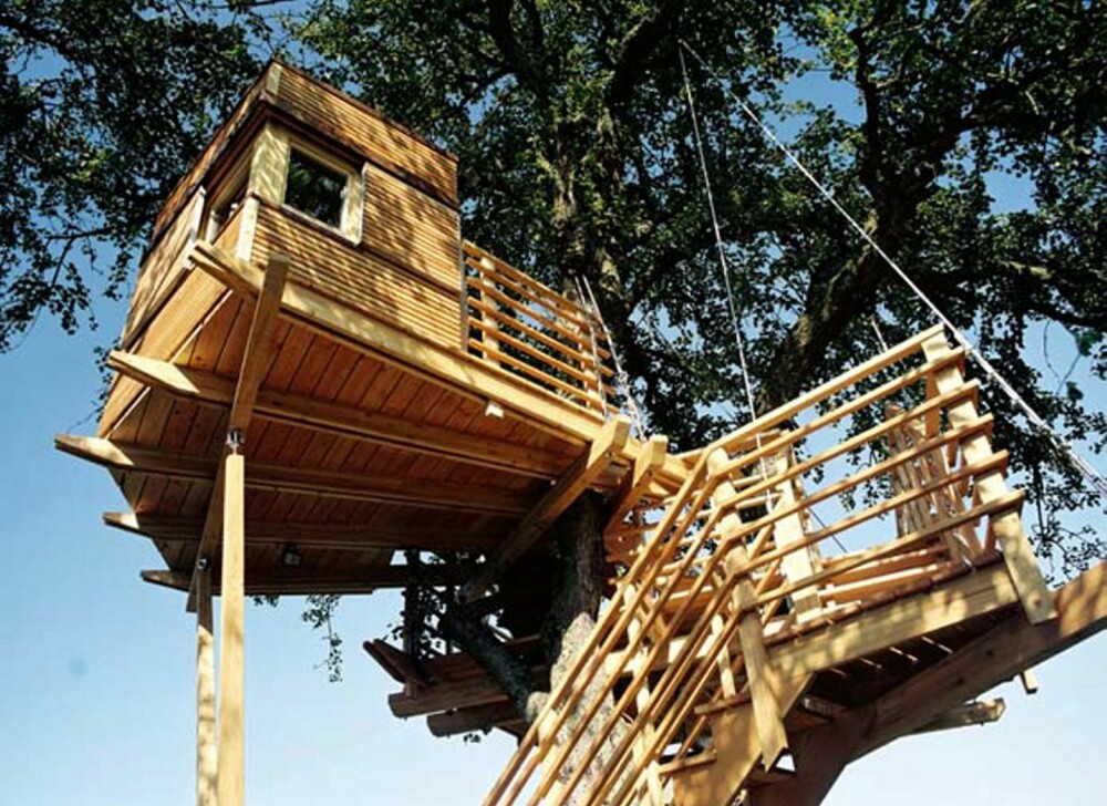 RUNDT ET TRE: Hytta er bygget rundt et pæretre. En trapp som går rundt stammen fører opp til hytta.