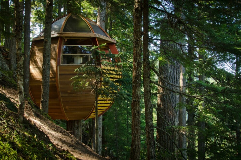 BYGGET RUNDT STAMMEN: Designeren jaktet lenge på det perfekte treet å bygge hytta rundt. Hytta er bygget i kryssfiner rundt stammen på treet.