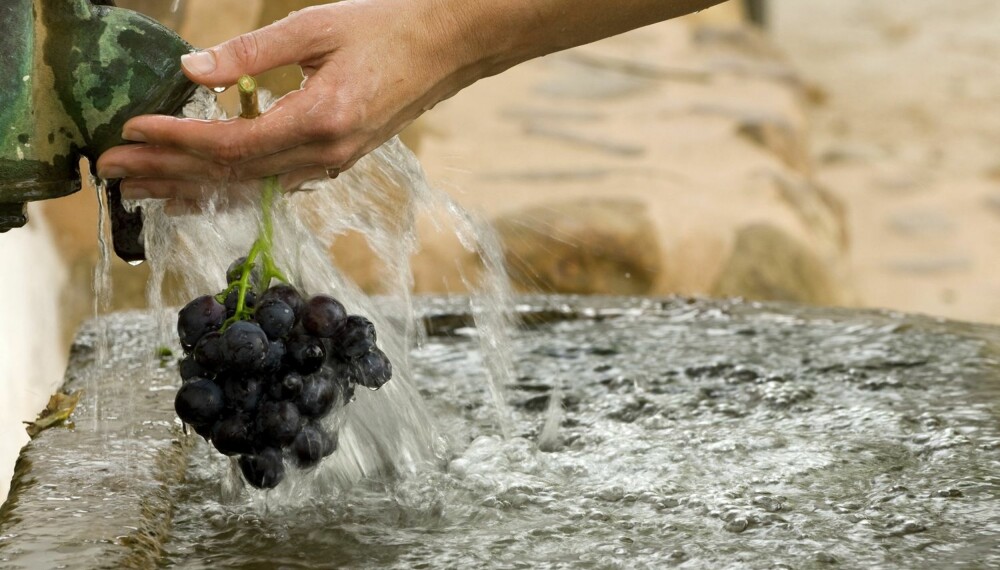 EGEN PRODUKSJON: Druer fra gården brukes til å produsere vin.