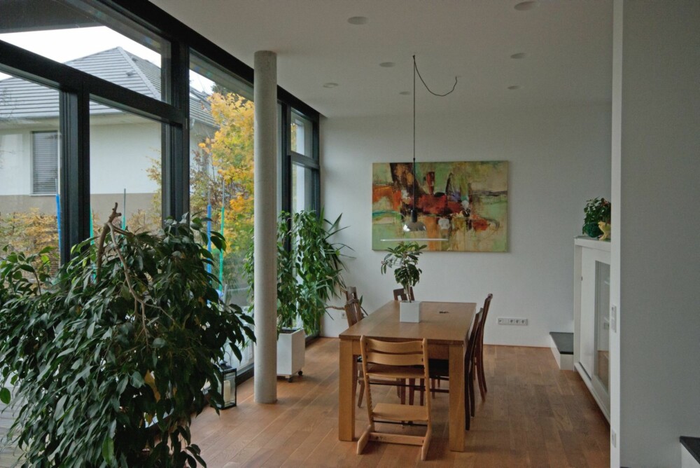GRØNT INTERIØR: En av utfordringene med et passivhus er at inneluften kan bli tørr. Det kan løses ved bruk av grønne planter. GRØNT INTERIØR: En av utfordringene med et passivhus er at inneluften kan bli tørr. Det kan løses ved bruk av grønne planter.
