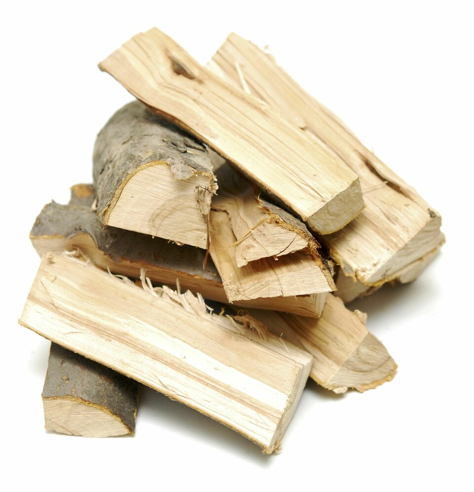 TØRR VED: Kun tørr ved skal inn i ovnen. Fuktigheten må være lavere enn 20 prosent. Er du i tvil om veden er tørr nok, kan du kjøpe en fuktmåler.