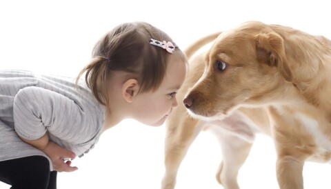 Hund: atferd. Lær hundespråk - Foreldre