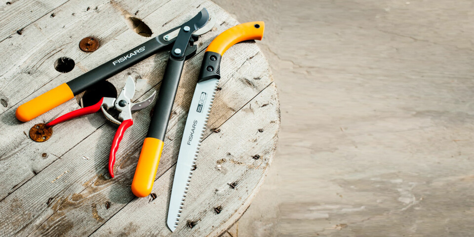 GRUNNUTRUSTNING: Når du skal beskjære busker og trær av en viss størrelse, trenger du sag, en kraftig grensaks og en liten håndsaks (sekatør).