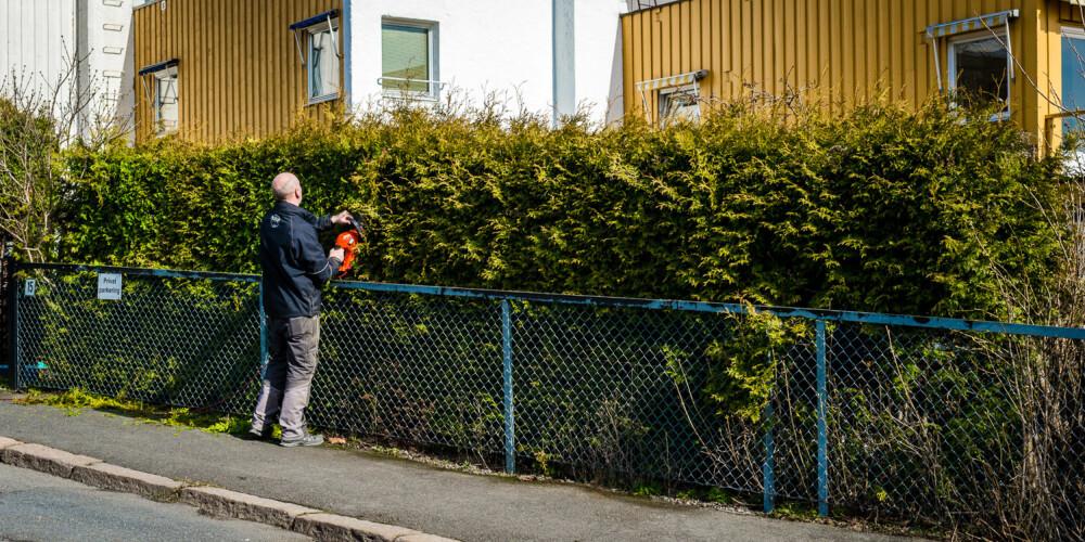 HER MÅ DET KLIPPES: Når hekken ser sånn ut, er det på tide å finne frem klippeutstyret. HER MÅ DET KLIPPES: Når hekken ser sånn ut, er det på tide å finne frem klippeutstyret.