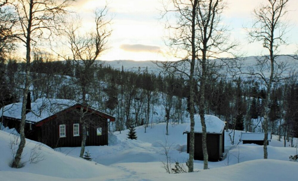 HYTTE I MO I RANA: Denne hytta ligger i Reinfjellia i Mo i Rana. Den har en prisantydning på 500 000 kroner og selges gjennom Eiendomsmegleren Helgeland.