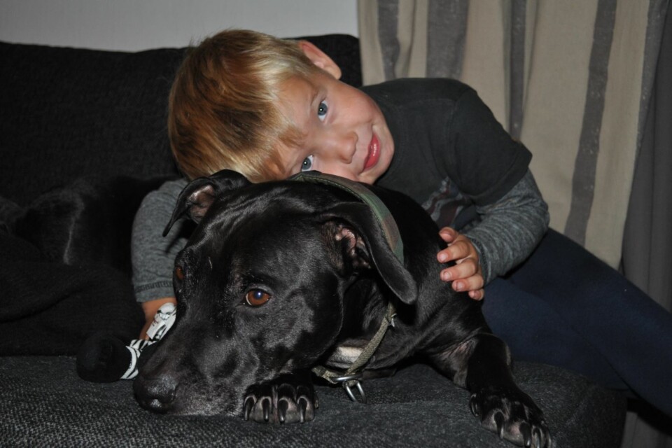 KOS: Disse to har det ekstra koselig sammen.