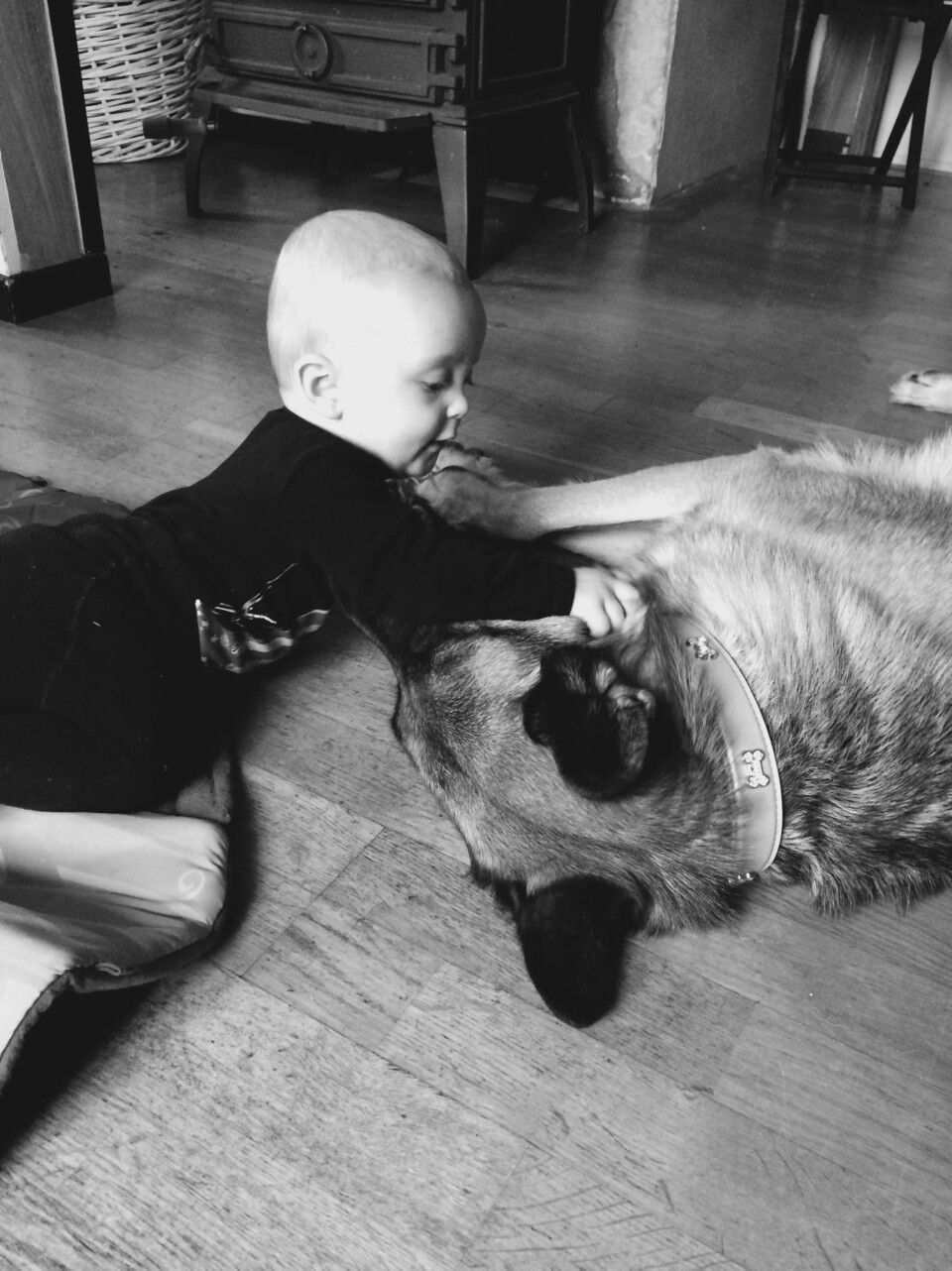 KOSER: Henry-André og hunden Lunaa. Lunaa er veldig flink og omsorgsfull, og passer godt på lillegutt.