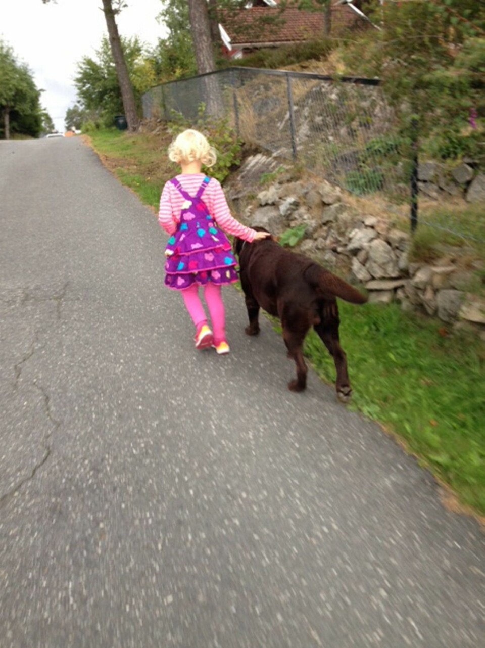 UT PÅ TUR: Det er fint å ha en trygg turkamerat ved sin side.