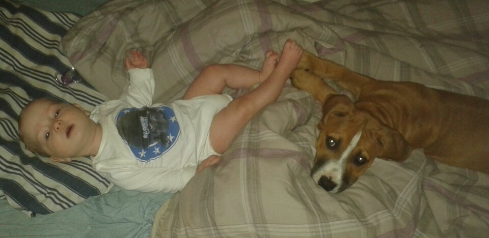 SLAPPER AV: Ingenting er som en avslappende morgenstund i senga.