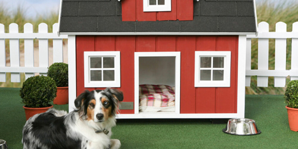 UT AV BYEN: Her er hundehuset for forstadshunden. Hundehaus Farm Dog House, som huset heter, sies å skulle passe for hunder som enten bor på en gård - eller drømmer om å gjøre det. UT AV BYEN: Her er hundehuset for forstadshunden. Hundehaus Farm Dog House, som huset heter, sies å skulle passe for hunder som enten bor på en gård - eller drømmer om å gjøre det.