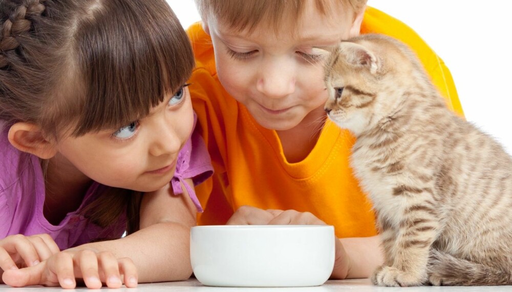 LÆRERIKT: Det å ha kjæledyr kan blant annet lære barna å ta ansvar og å tolke sosiale signaler. 