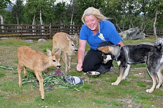 STORT ANSVAR: Anne Grete Lindvik er dyreansvarlig ved EKT Langedrag. – Å flaske opp dyreunger er krevende,
men fantastisk, sier hun.