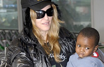 Madonna med sønnen David