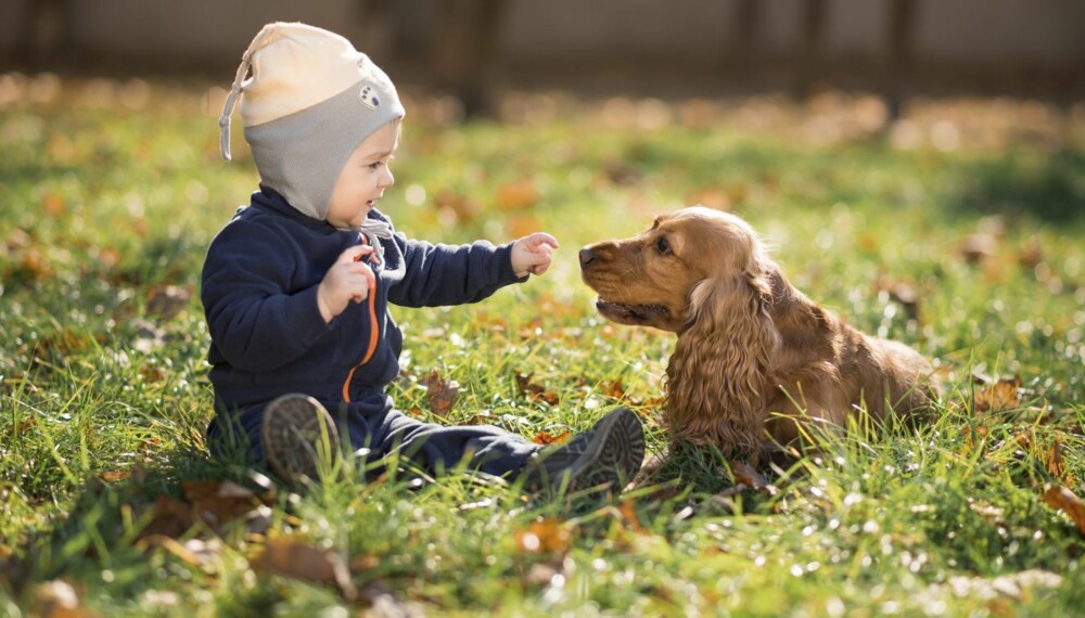 FOTOKONKURRANSE: Send oss dine beste blinkskudd av barn og hund, vinn barnesko!