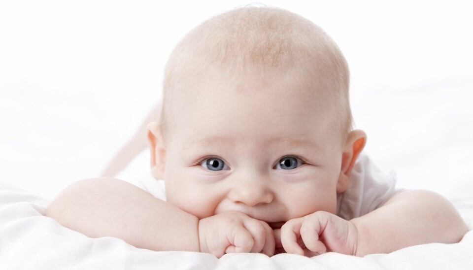 EN LITEN NORA? Toppnavnene i 2014 har begge gjenerobret førsteplassen etter å ha gitt slipp på den i 2013.