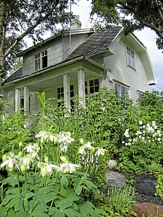 STORE; VARIGE BED: Inspirert av den engelske Sissinghurst-hagen laget Kvien store bed med kun store, hvite vekster. De står et stykke unna det hvite huset og de er både flotte å se på, samt varige og greie å holde orden på.