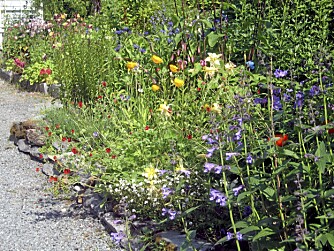 EVENTYRLIG : Den bevisste miks av  innførte og lokale vekster gir hagen i Nordkjosbotn en eventrylig fargeprakt. Bed og hekker organiseres mange steder med dekkbark og knotteplast.