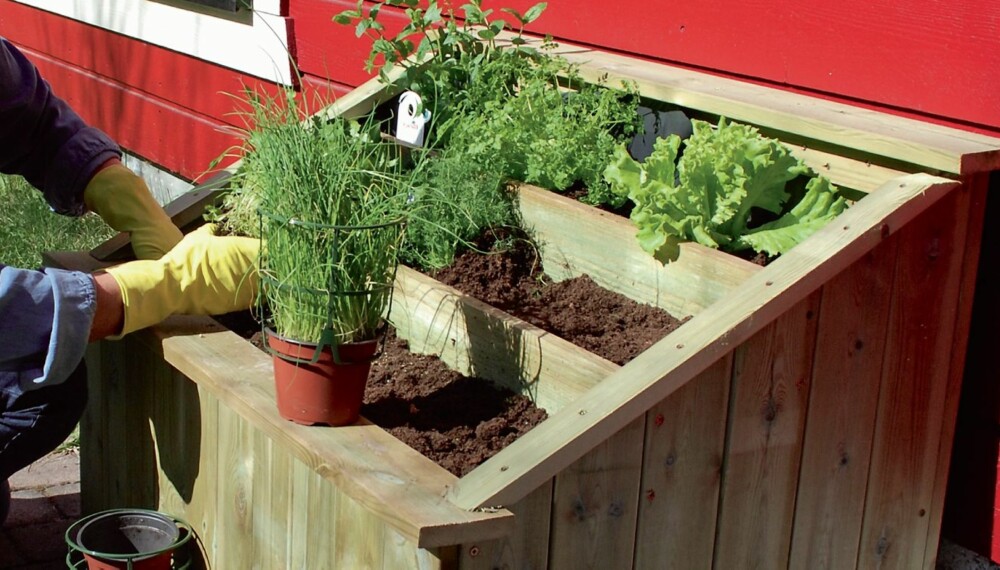 Tre etasjer: Nå er det tid for å bygge en egen minihage. I en slik urtehage kan du få plass til både urter og salat.