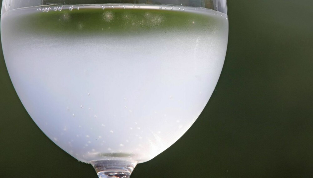 HVITT VANN: De fleste har opplevd at vannet blir hvitt når man tapper det i et glass eller lignende. I de aller fleste tilfeller skyldes det luft, og er helt ufarlig.
