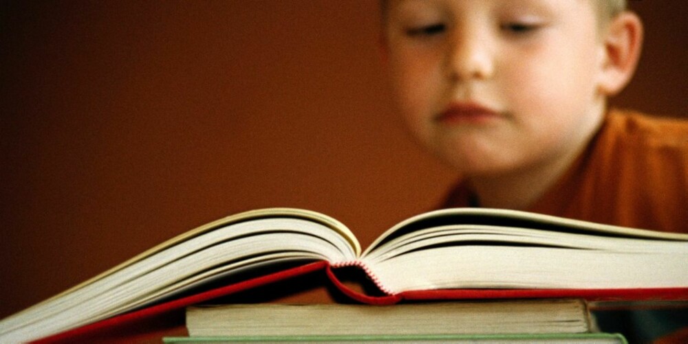 LES HVA DE VIL: " Flinke " mødre  må ikke bestemme at gutter skal lese bøker de ikke er interessert i.