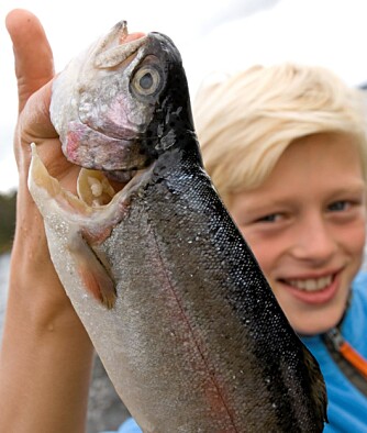 EN GOD KROK: Fisking er til stor glede for barn og voksne. Husk fiskekort dersom du oppsøker ferskvann.