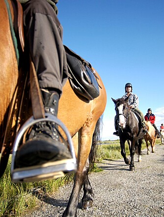 FJELLTUR PÅ HESTERYGGEN: Det arrangeres fjellturer til
hest mange steder i landet. Sjekk ut hvor ved å ta kontakt med de store høyfjellshotellene.