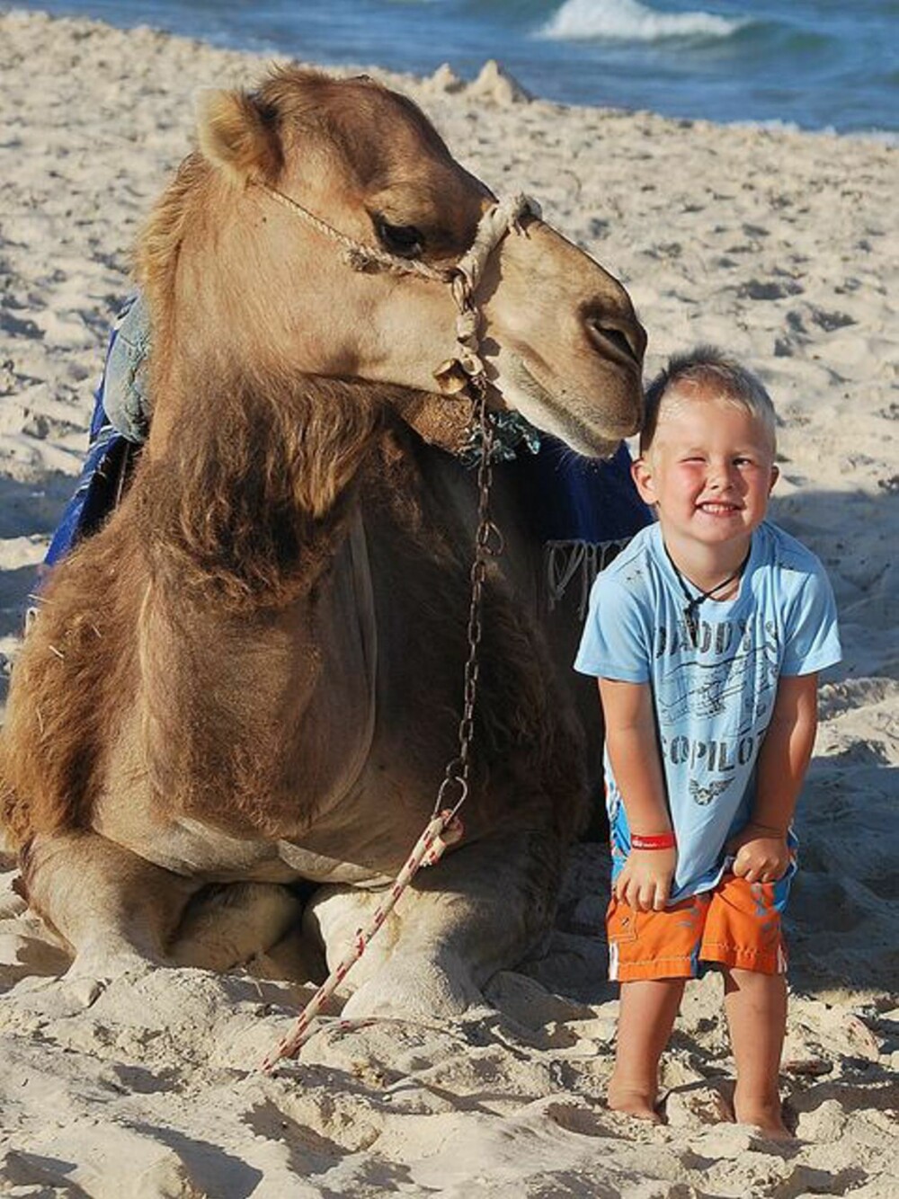 KAMELSUSS: Sønnen til Tommy Pedersen fikk mer enn han ba om da han skulle posere med en kamel.