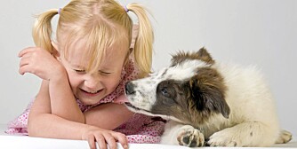 NÆRT FORHOLD: Hunden kan bli en fin lekekamerat for barnet. Men du kan aldri stole fullt og helt på en hund, advarer veterinær.