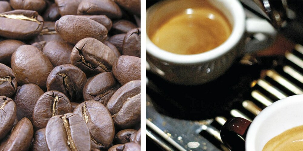 KAFFENASJON: Ingen drikker mer kaffe enn oss kalde nordboere. KAFFENASJON: Ingen drikker mer kaffe enn oss kalde nordboere.