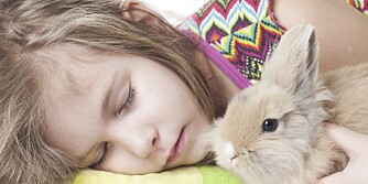 IKKE EGNET: Dyrevernalliansen forteller at en kanin har større behov enn det en barnefamilie vanligvis greier å dekke.