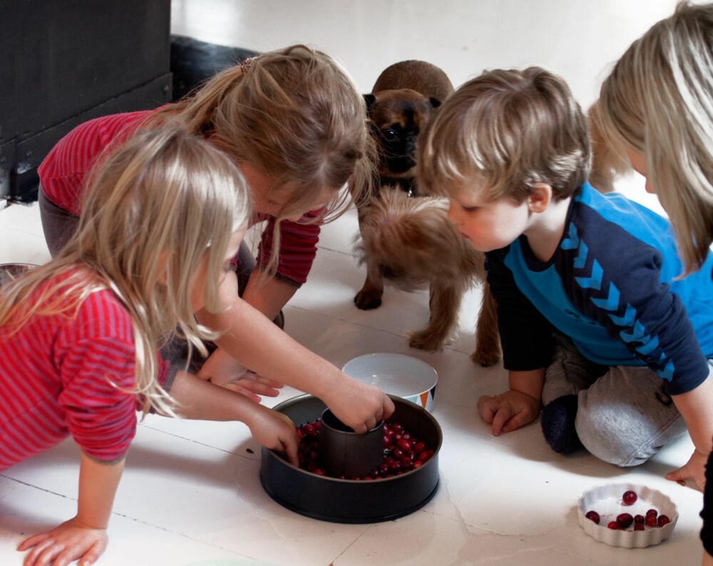 FELLES AKTIVITET: Til og med hundene følger nøye med når maten til fuglene blir lagt i skålen.