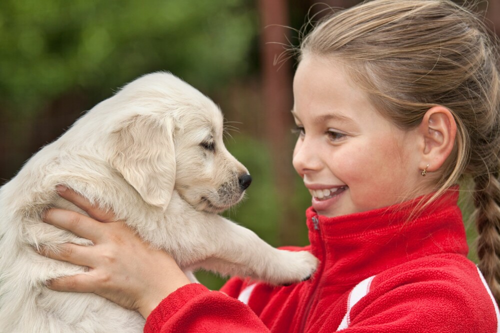 BRA FOR BARNA: Det er bra for barn å lære omsorg for dyr, og dyr har en positiv innvirkning på barns utvikling.