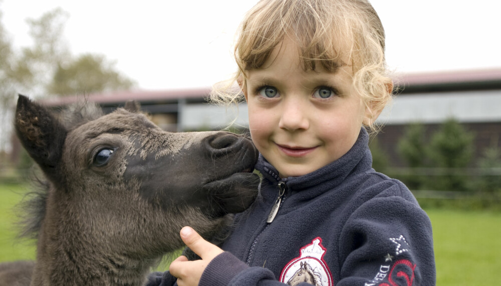 LÆR BARNA OMSORG FOR DYR: Det er viktig for barn å lære at dyr også har følelser, mener Dyrevernalliansen. 