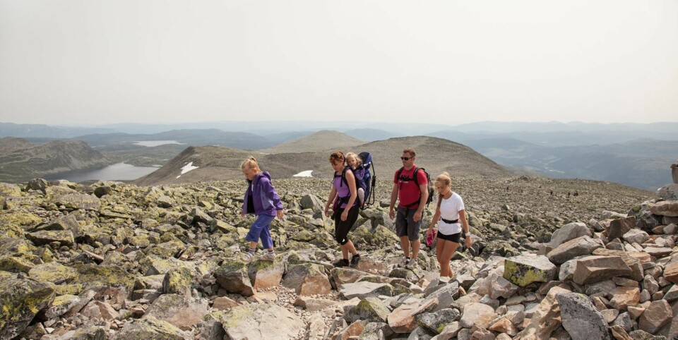 BYGG VARDER: Plukk steiner på veien og legg dem på de mange vardene på vei opp til Gaustatoppen.
