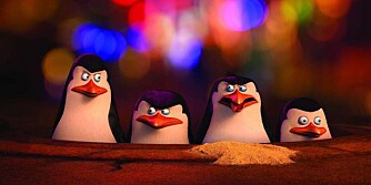 PÅ KINO: Madagaskarpingvinene har premiere 1. juledag.