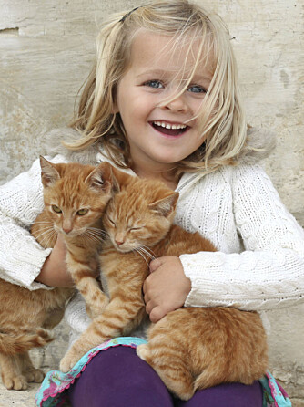 FINT DYR FOR BARN: En katt er et fint dyr å ha i en familie med små barn, fordi katten har et tydelig kroppsspråk og sier tydelig fra når den ikke liker behandlingen den får.