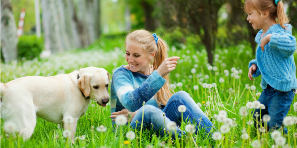 DU MÅ LÆRE BARNET: Når det kommer en hund inn i familien så er det alltid foreldrenes ansvar å lære barnet hvordan de skal forstå hunden og hvordan den skal behandles.