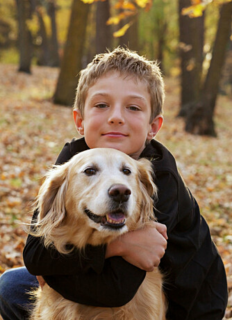 BESTEVENN: Lær barna godt samspill med hunden, så får de en venn for livet.