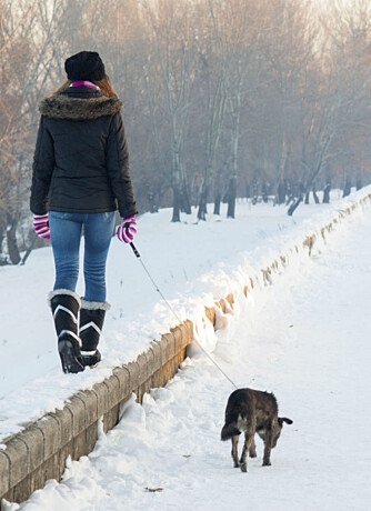 IKKE ALLTID MORO: En hundeeier må ut på tur selv om det regner, snør eller er 20 minusgrader.