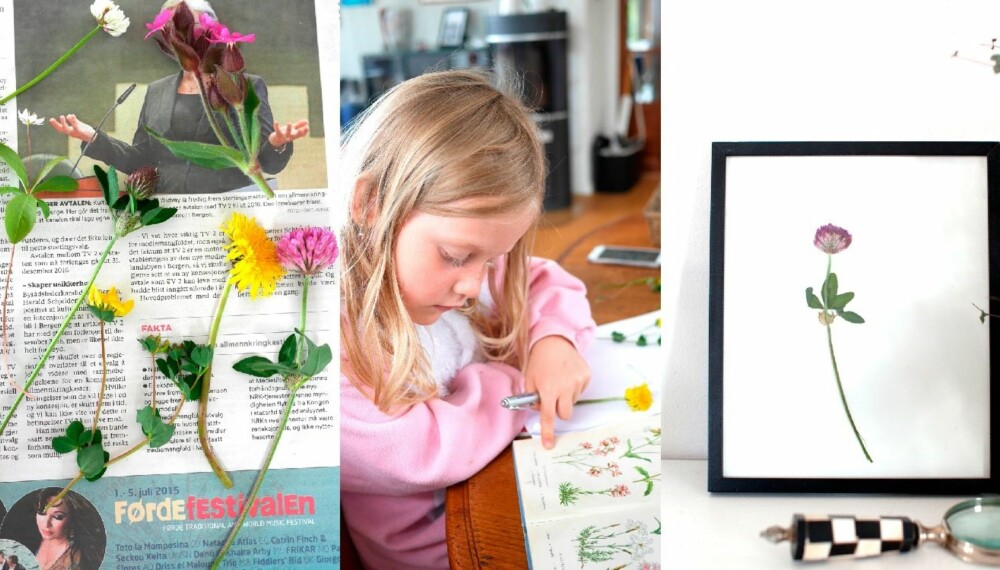PRESS BLOMSTER: Skal du innom en bokhandel før ferien? Kjøp med deg en blomsterbok og gå på skattejakt med barna i ferien. PRESS BLOMSTER: Skal du innom en bokhandel før ferien? Kjøp med deg en blomsterbok og gå på skattejakt med barna i ferien.